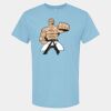 4800 - Best Value 100% Cotton T-Shirt Thumbnail