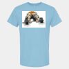 4800 - Best Value 100% Cotton T-Shirt Thumbnail