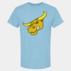 4800 - Best Value 100% Cotton T-Shirt Thumbnail