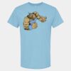 4800 - Best Value 100% Cotton T-Shirt Thumbnail