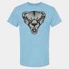 4800 - Best Value 100% Cotton T-Shirt Thumbnail