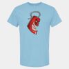 4800 - Best Value 100% Cotton T-Shirt Thumbnail