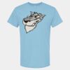 4800 - Best Value 100% Cotton T-Shirt Thumbnail