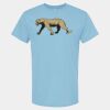 4800 - Best Value 100% Cotton T-Shirt Thumbnail