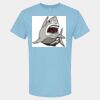 4800 - Best Value 100% Cotton T-Shirt Thumbnail