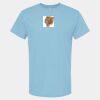 4800 - Best Value 100% Cotton T-Shirt Thumbnail