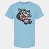 4800 - Best Value 100% Cotton T-Shirt Thumbnail