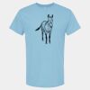 4800 - Best Value 100% Cotton T-Shirt Thumbnail