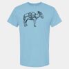 4800 - Best Value 100% Cotton T-Shirt Thumbnail