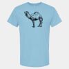 4800 - Best Value 100% Cotton T-Shirt Thumbnail