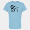 4800 - Best Value 100% Cotton T-Shirt Thumbnail