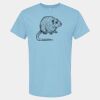 4800 - Best Value 100% Cotton T-Shirt Thumbnail