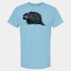 4800 - Best Value 100% Cotton T-Shirt Thumbnail