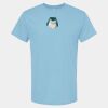 4800 - Best Value 100% Cotton T-Shirt Thumbnail