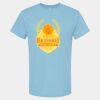 4800 - Best Value 100% Cotton T-Shirt Thumbnail